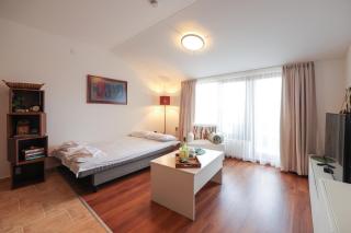 Bansko Nest 1BR Mountain View near Ski Lift - 1