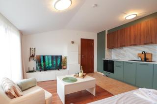 Bansko Nest 1BR Mountain View near Ski Lift - 7