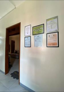 Baldonado Transient Homestay - - 7