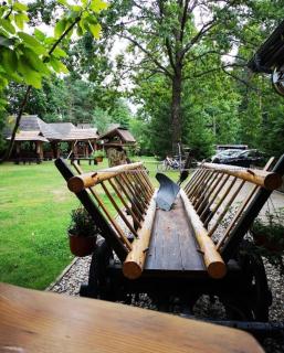 Karczma Starożyn - Płaska - 5