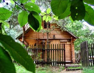 Karczma Starożyn - Płaska - 2