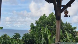 Les chalets Colibris - Anse Figuier - 3
