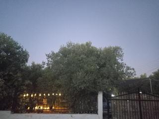 private house - Sozopoli - 1