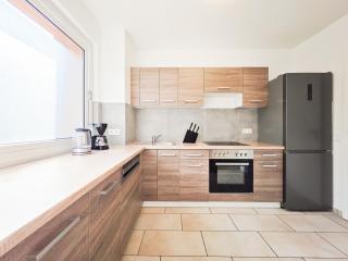 Tolstov Apartments - 3 Room Apartments with Balcony - 25 min Messe DUS - 3
