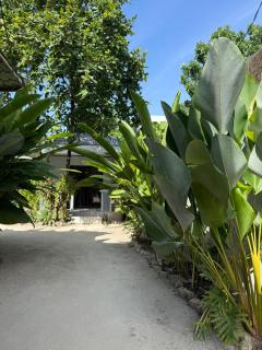 Dodong Homestay - 1