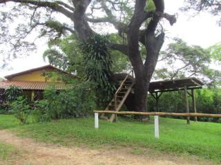 Chácara with pool and trails in the Cerrado biome - São Carlos - 8