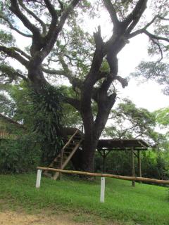 Chácara with pool and trails in the Cerrado biome - São Carlos - 1