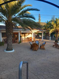 Finca roxana - Elda - 4