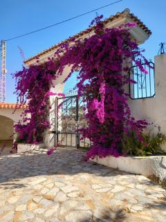 Finca roxana - Elda - 2