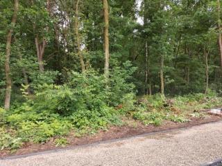 De Appelgaard Voeren Estate - 2