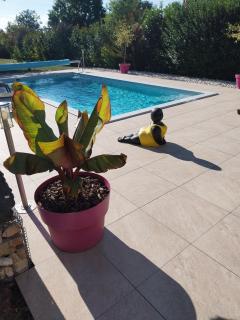 gite le terminus - 8