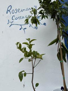 Rosemarys Cottage - 4