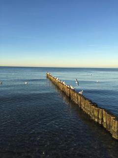 Traditionelles Reethaus direkt an der Ostsee - 9