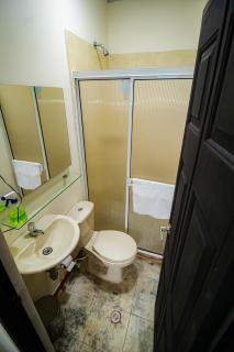 GREEN APARTMENT "el bosque" - 2