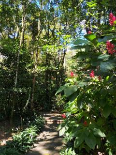 Paz e Silêncio da Natureza - Serra de Teresópolis - 6