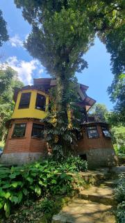 Paz e Silêncio da Natureza - Serra de Teresópolis - 0