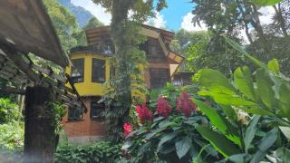 Paz e Silêncio da Natureza - Serra de Teresópolis - 5