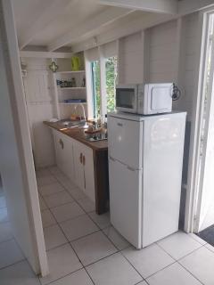 ALAMANDA le grand palm - 5