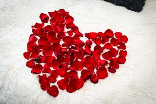 Red Rose Residence - 0