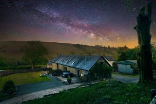 Sycamore Tree Barn - 0