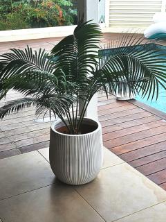 La Villa Adam - Pool - Spa - 1