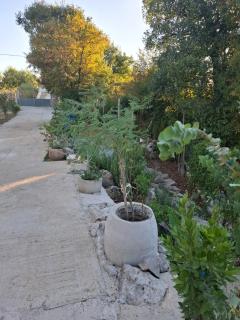 apartmani Marija - 2