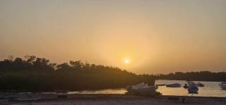 FARAFINA KEUR DAMEL Toubakouta - 3