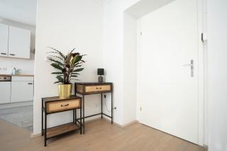 New stylish apartment in the heart of Vienna - 4