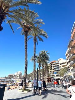 Big one bedroom apartment next to beach. - 8