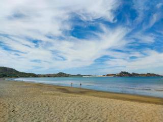 Casa Lemonpaloosa - 2BR nature home, Pool, 900m Walk to Potrero Beach - 5