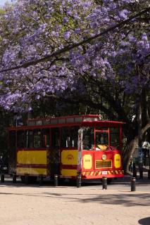 Luxury & Cozy 2BR Duplex in Condesa Heart with Balcony - Città del Messico - 4