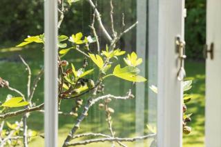 5606-Gudhjem-Holkavej-12 - 1