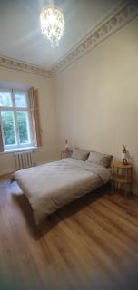 Large, new apartment in the historic centre - 2