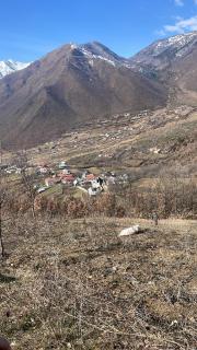 Shpia cani - Bulqizë - 6