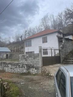 Shpia cani - 4