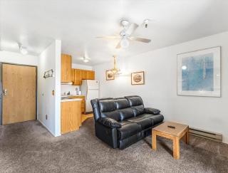 Cozy 1BR Condo Pool Walk to Ski Lifts & Downtown - 7