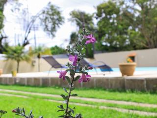 Piscina,Paz e Área Verde - 8