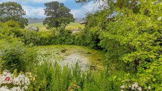 Brights Farm Lodge - 7