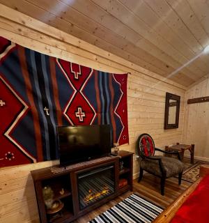 Big Bear Log cabin - Cosby - 6