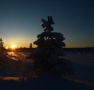 12 - Fulufjellets nasjonalparker - snow - alpint - langrenn - Ljørdal - 9