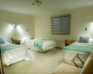 Hostal Francis Drake - El Cerrillo - 3