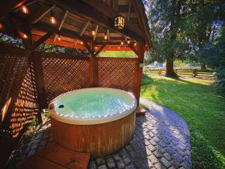 Emmons Suite at Ashford Lodge: Hot Tub, Projector! - 9