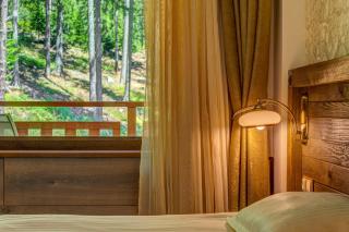 Апартамент Борчето Forest Glade- Pamporovo - Pamporovo - 2