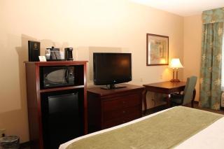 Quality Inn & Suites - 9