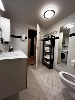 Large and airy penthouse, including parking! - 1