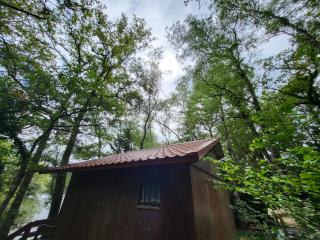 La Cabane - 2