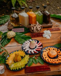 Dolphin Quest Jungle Lodge - 4