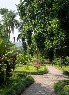 Dolphin Quest Jungle Lodge - Piedras Blancas - 1