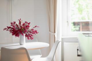 central I 2 bedroom I fast Wifi - 4
