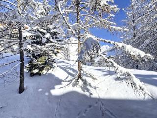 Résidence Roche De Fours - Appartement de charme . Chatelard · ski au pied MAE-1813 - 2